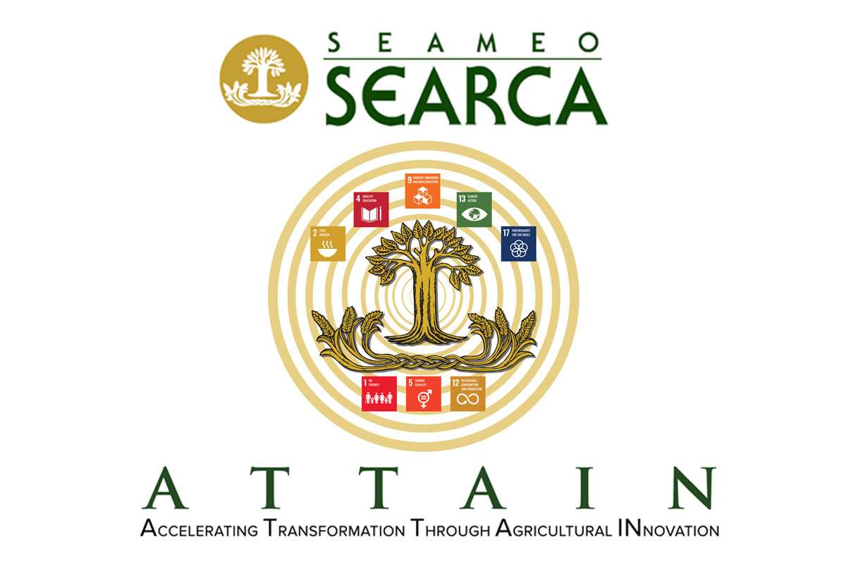 Postharvest losses in PH onion, tomato and mango value chains bared