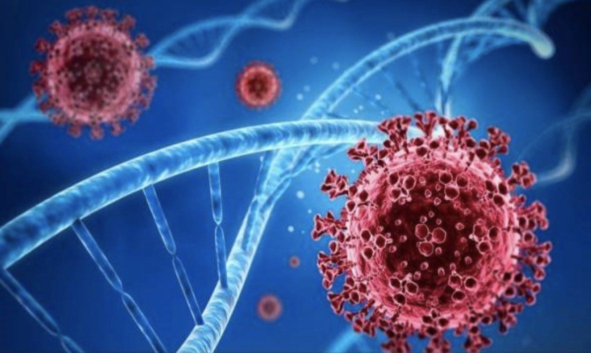 Brunei reports less than 1,000 new Covid-19 cases for eight straight days