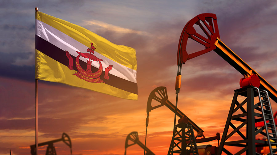 Moving Away from Oil: How Can Brunei Diversify its Economy?