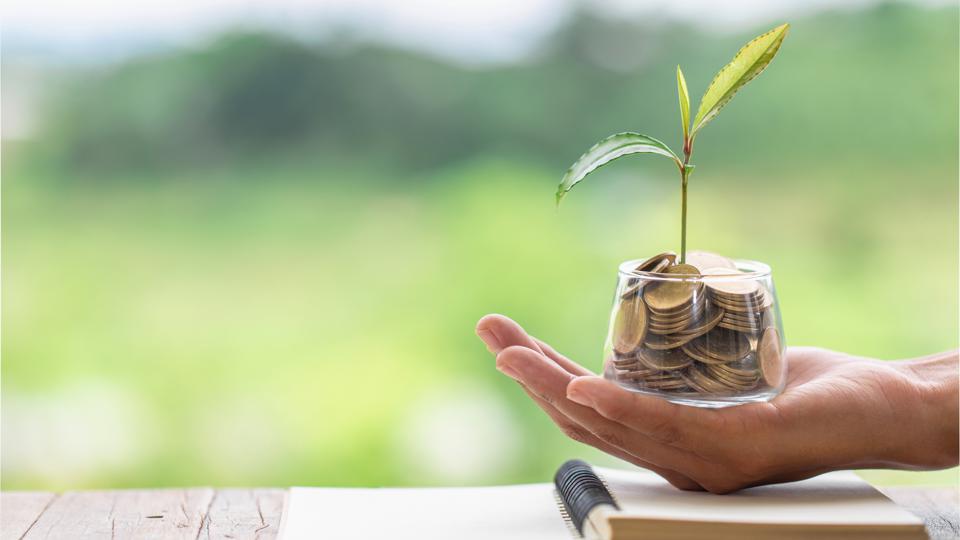 Best No-Fee Savings Accounts Of May 2023