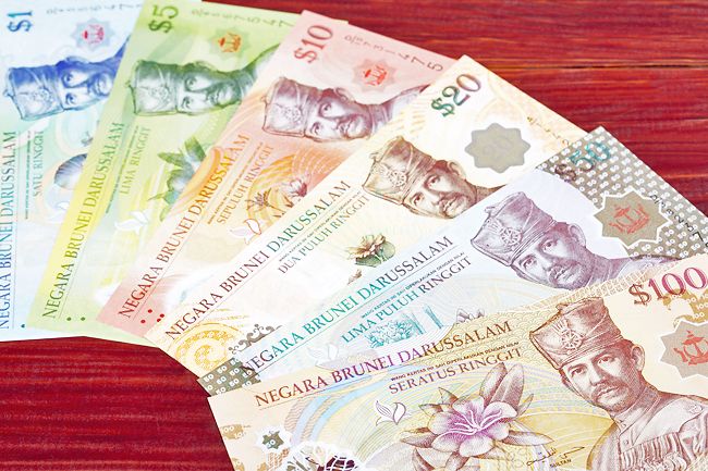 Improved domestic economy with ongoing FDI projects, says Brunei central bank