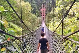 Brunei&rsquo;s forests drive sustainable growth, green economy: Minister